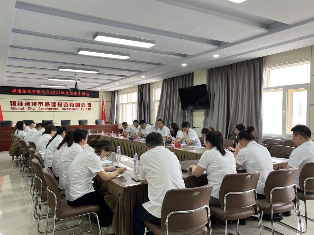 凝共识、促发展、共奋进、开新篇——城建投资有限公司党支部召开2024年度组织生活会