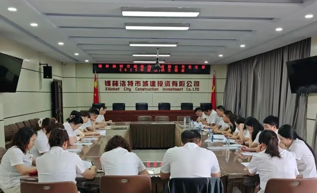 强党性 促担当——城建投资有限公司党支部召开2025年度组织生活会